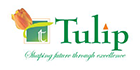 Tulip